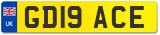 GD19 ACE