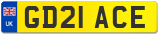 GD21 ACE