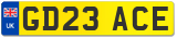 GD23 ACE