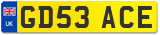 GD53 ACE