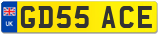 GD55 ACE