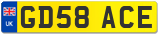 GD58 ACE