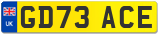 GD73 ACE