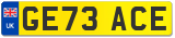 GE73 ACE