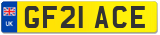 GF21 ACE