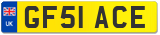 GF51 ACE