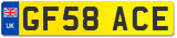 GF58 ACE