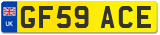 GF59 ACE