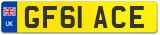 GF61 ACE