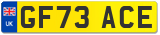 GF73 ACE