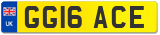 GG16 ACE