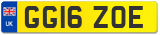 GG16 ZOE