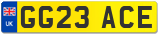 GG23 ACE