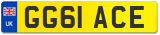 GG61 ACE