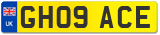 GH09 ACE