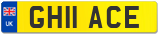 GH11 ACE