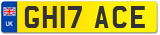 GH17 ACE