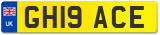GH19 ACE
