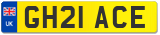 GH21 ACE