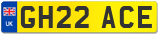 GH22 ACE