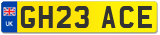 GH23 ACE