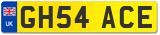 GH54 ACE