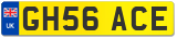 GH56 ACE
