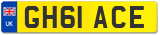 GH61 ACE