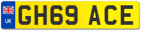 GH69 ACE