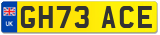 GH73 ACE