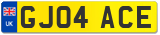 GJ04 ACE