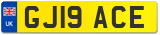 GJ19 ACE