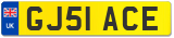 GJ51 ACE