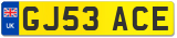 GJ53 ACE
