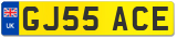 GJ55 ACE
