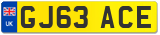 GJ63 ACE