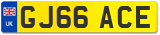 GJ66 ACE