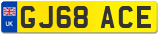 GJ68 ACE