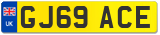 GJ69 ACE