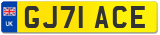 GJ71 ACE