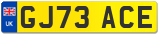 GJ73 ACE