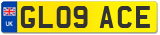 GL09 ACE