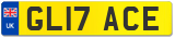 GL17 ACE