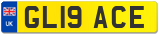 GL19 ACE