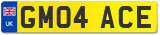 GM04 ACE