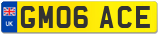 GM06 ACE