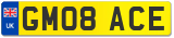 GM08 ACE
