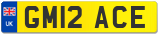 GM12 ACE