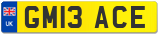 GM13 ACE