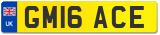 GM16 ACE